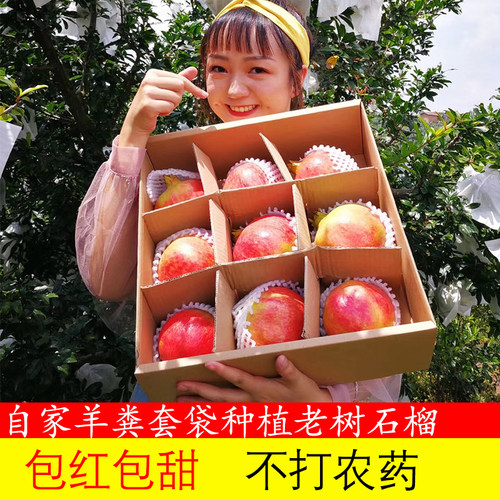 10年自家老树软籽石榴只发一级果