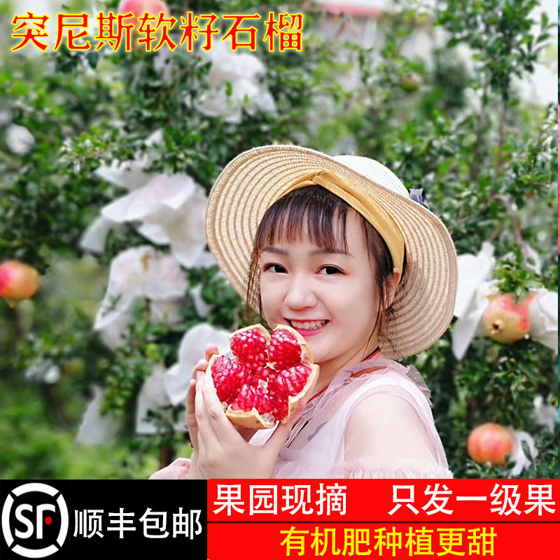 顺丰家庭装老树软籽石榴籽更甜