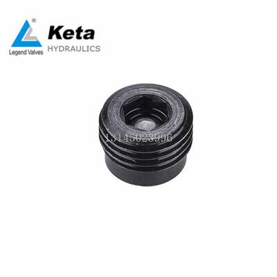 宁波keta克泰ILCVR2000-G14 ILCV2000-G34液压螺纹插装管式单向阀