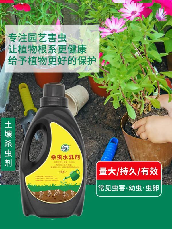 土虫净素材模板 土虫净图片下载 小麦优选
