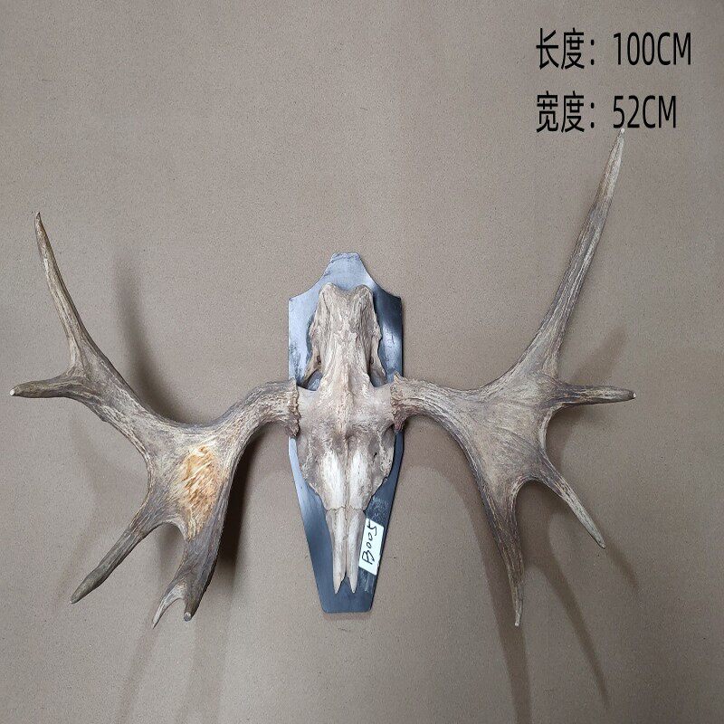 权禄壁挂真鹿头工艺鹿角驼鹿头白尾鹿壁炉挂背景墙装饰招财鹿美式