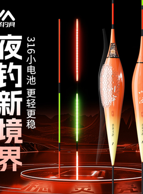 川泽EG一体LED灯珠尾316夜光漂变色日夜两用清晰醒目浮漂钓鱼用具