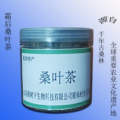 夏津特产古桑树之鲜叶霜后桑叶茶