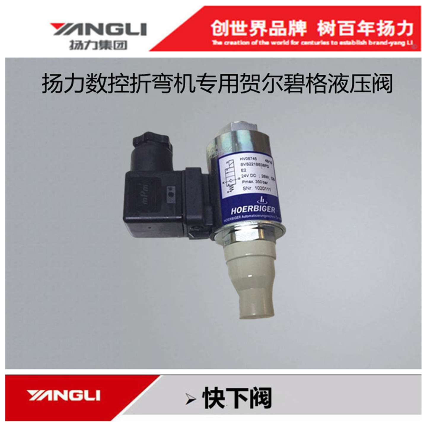 扬力数控折弯机贺尔碧格快下阀