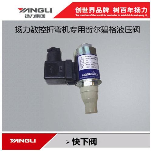 扬力数控折弯机贺尔碧格快下阀
