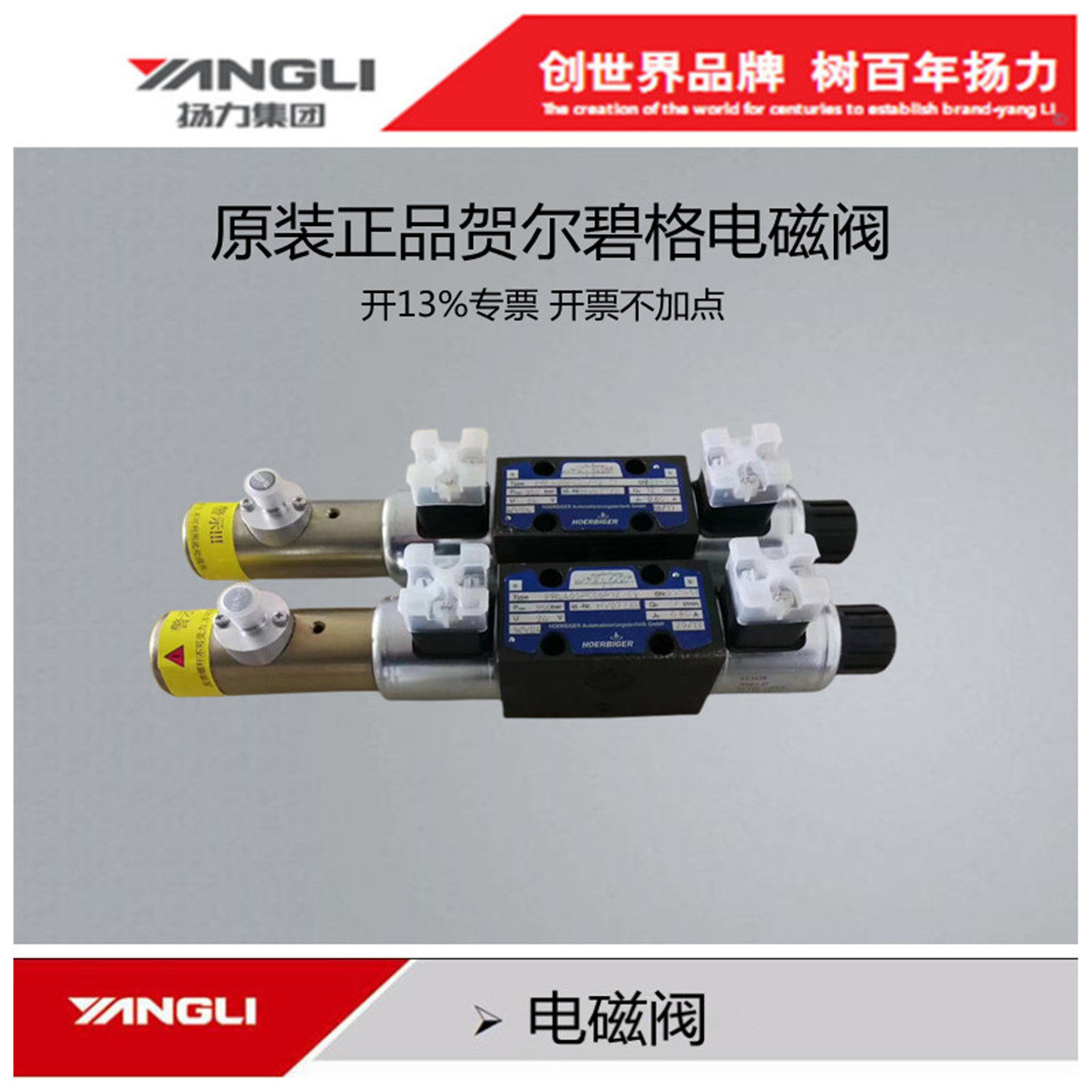 扬力集团数控折弯机配件100/160T贺尔碧格力士乐电磁换向阀比例阀