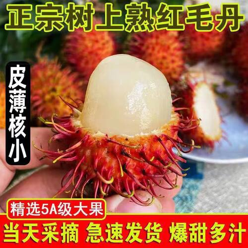 海南红毛丹荔枝新鲜当季