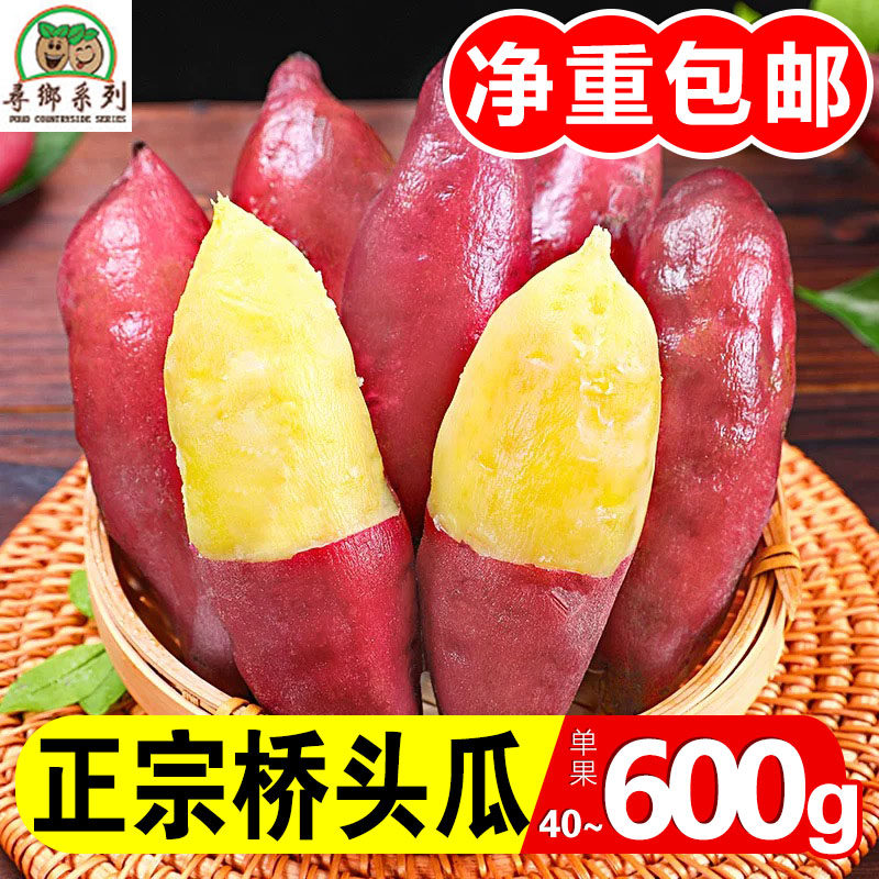 海南澄迈桥头富硒地瓜新鲜沙地红薯现挖板栗番薯糯净重5/9斤包邮
