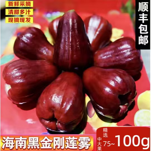 正宗黑金刚莲雾中大果净重包邮