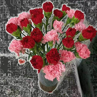 康乃馨颜色随机1束鲜花速递家庭办公室水养插花次日达