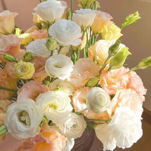 稀有色洋桔梗鲜花新鲜混搭室内水培家用花插花办公室云南基地直发