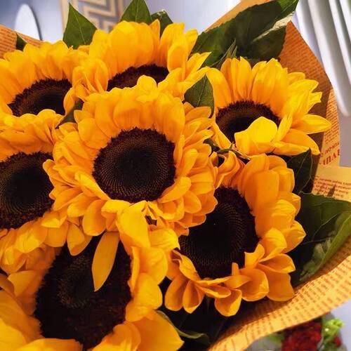 鲜花云南直发向日葵鲜花花束真花