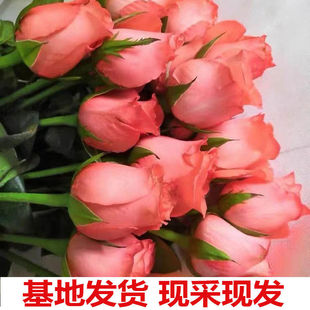 玫瑰百合洋桔梗鲜花真花花束家居客厅办公插花水养花卉混搭云南真