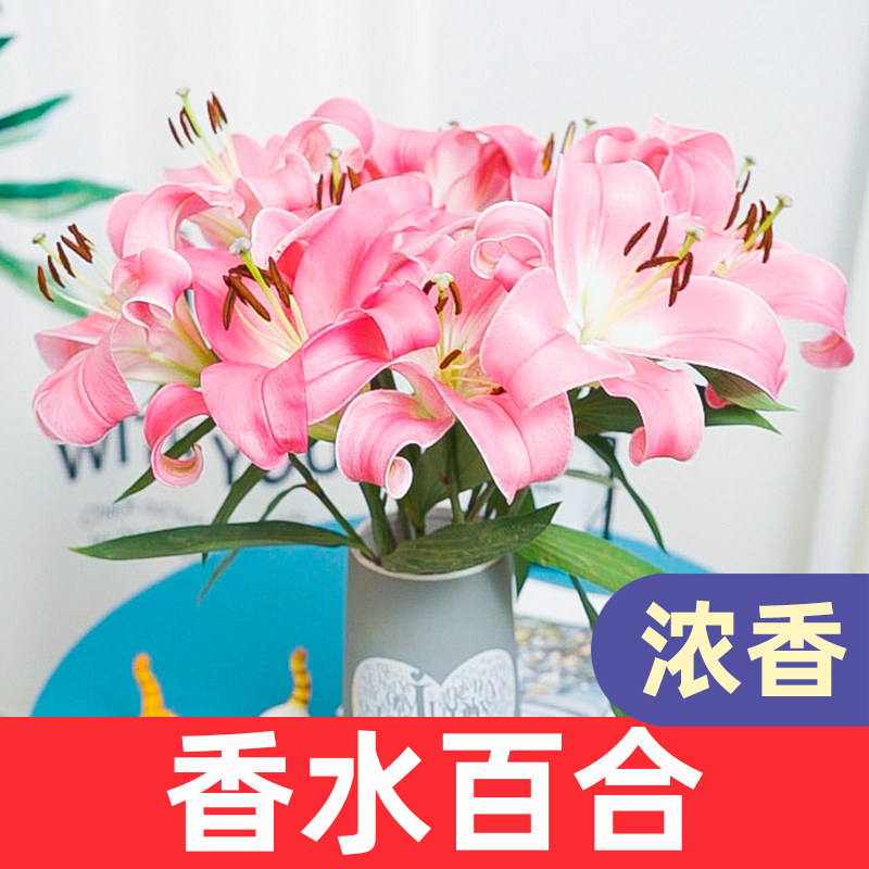 鲜花花束云南昆明基地直发香水百合花速递同城玫瑰520情人节礼物