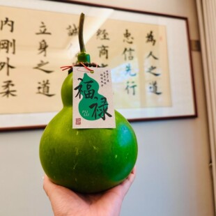 墨绿八宝葫芦新品 云南新鲜墨绿八宝葫芦新品 文玩好运好寓意