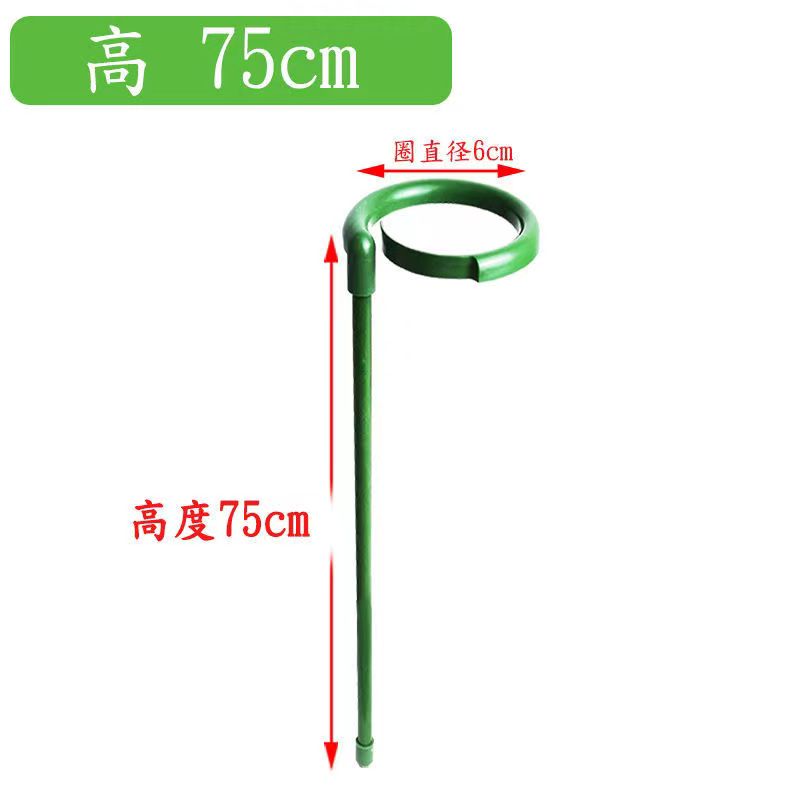 花架爬藤架子花盆植物蟹爪兰月季铁线...