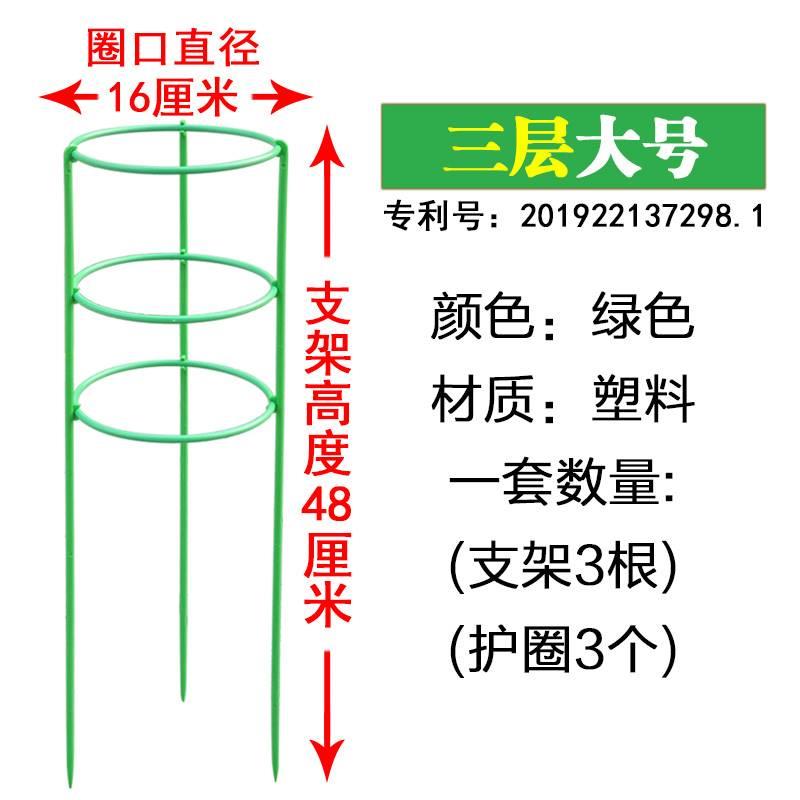 蟹爪兰支架多层双层园艺花架植物爬藤...