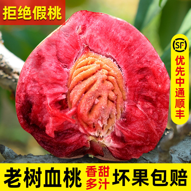 正宗老树血桃离核新鲜现摘现发红肉桃子时令孕妇水果 精选大果5斤