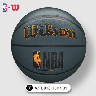 Wilson威尔胜威尔逊篮球NBA比赛耐磨室内外7号蓝球WTB8101IB07CN