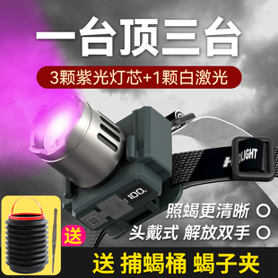 铭久2025新款蝎子灯照蝎子专用强光超亮头灯充电头戴式大功率紫光