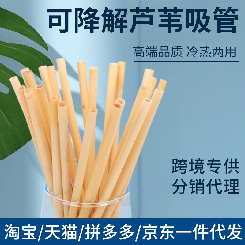 定制logo 可降解奶茶粗直吸管环保自然芦苇杆吸管 一次性独立包装