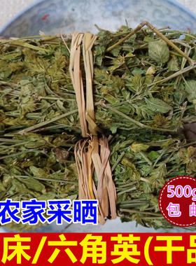 爵床 六角英500g包邮爵卿小青草 香苏孩儿草 赤眼老母草 干货药材