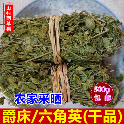 干货爵床孩儿草蜻蜓草包邮