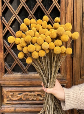 精选黄金球干花ins居家装饰