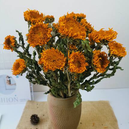 云南干花重瓣向日葵真花风干花束北欧咖啡厅家居装饰插花拍摄道具