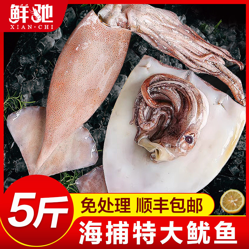 大鱿鱼新鲜冷冻鱿鱼生鲜火箭鱿鱼铁板烧烤半成品专用整只商用批发,水产肉类/新鲜蔬果/熟食,冷冻鱿鱼,淘宝优惠券,粉丝福利购,淘宝优惠卷