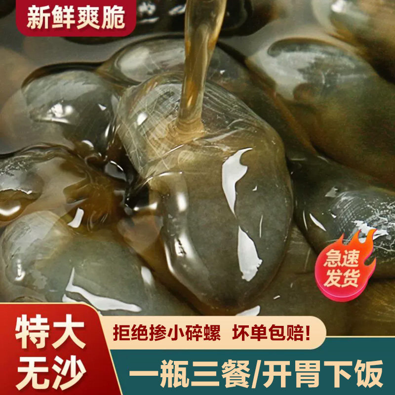 泥螺即食罐装黄泥螺鲜活特大醉泥螺罐头舟山宁波特产下酒腌制海鲜
