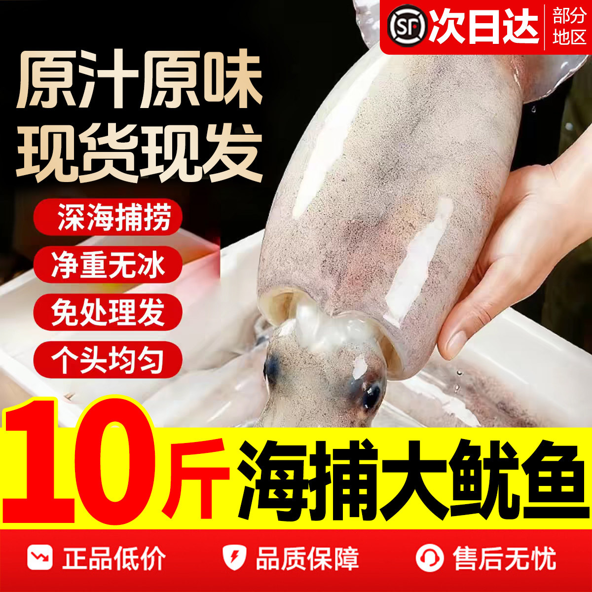 大鱿鱼新鲜冷冻鱿鱼生鲜火箭鱿鱼铁板烧烤半成品专用整只商用批发