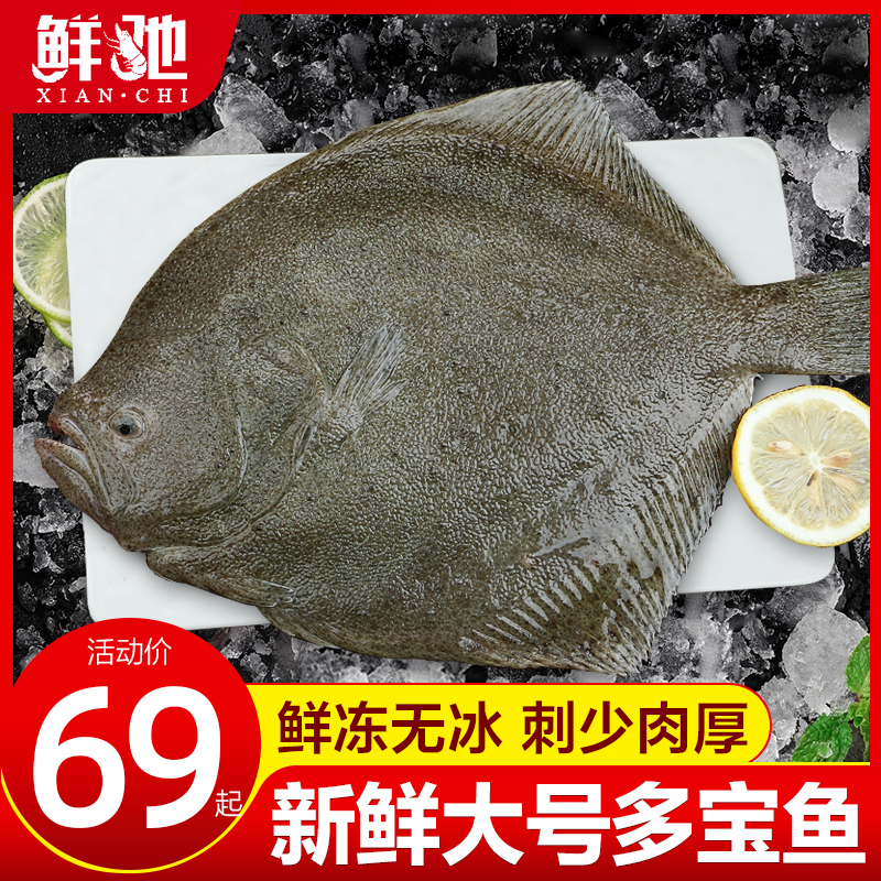 多宝鱼海鲜鲜活比目鱼新鲜冷冻