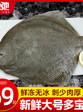 新鲜多宝鱼鲜活大速冻冷冻大比目鱼偏口鱼八宝鱼左口鱼扁口鱼批发