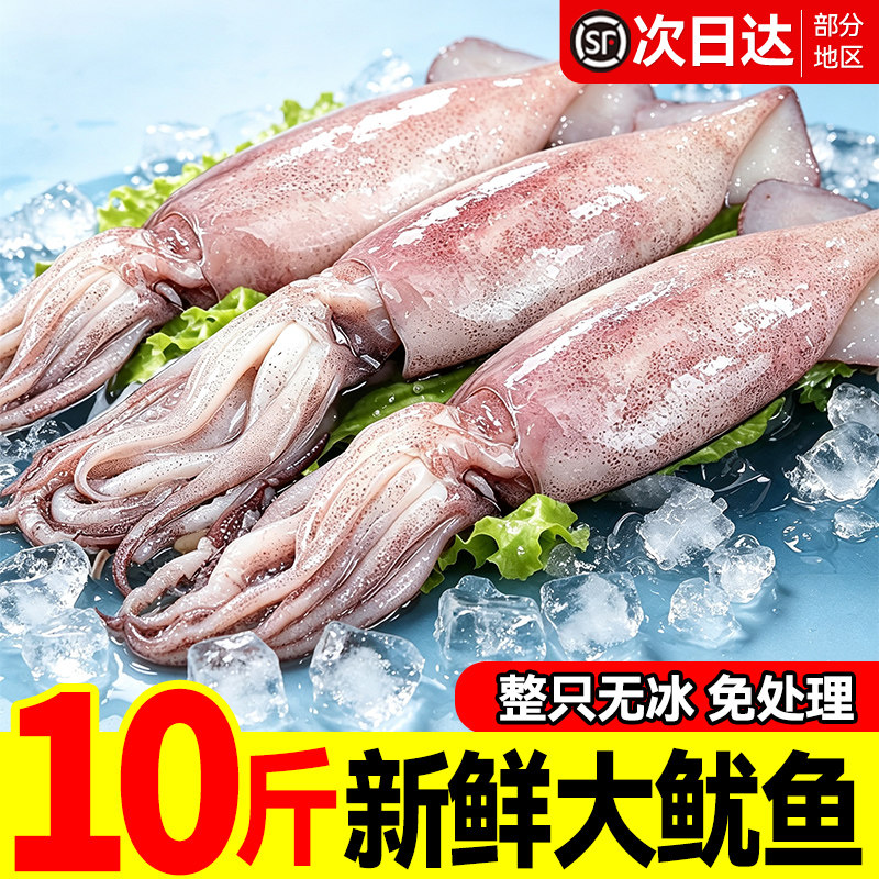 大鱿鱼新鲜冷冻鱿鱼生鲜火箭鱿鱼铁板烧烤半成品专用整只商用批发