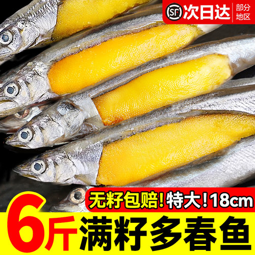 万人回购！多春鱼满籽超特大号