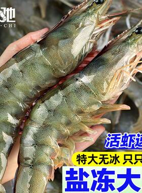 无冰鲜驰盐冻虾无冰特大青岛大虾