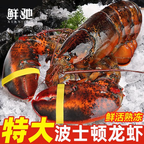 年货秒杀！超大波士顿龙虾鲜活冻