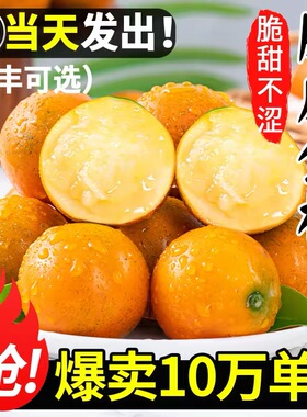广西融安脆皮金桔鲜果10斤小金橘子应当季新鲜水果蜜金柑整箱包邮