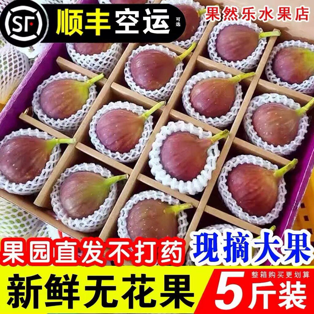 新鲜云南红皮无花果精选大果现摘儿童新鲜水果软糯应当季包邮顺丰