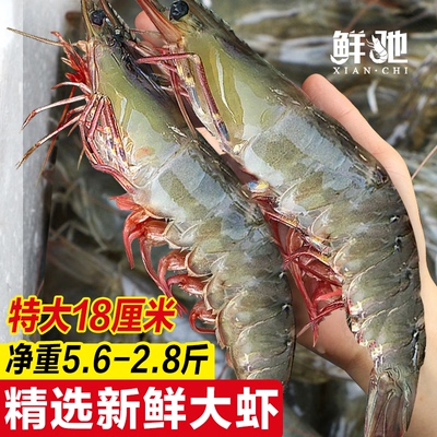 鲜驰盐冻虾特大新鲜大虾冷冻海虾对虾白虾渤海基围虾一整箱批发p