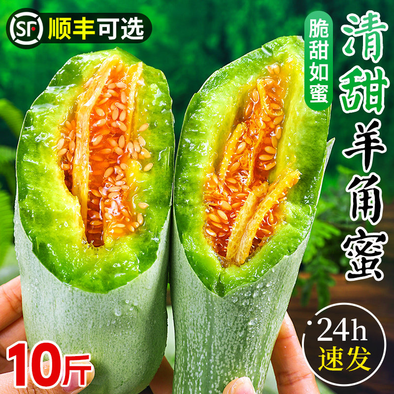 山东羊角蜜甜瓜水果香瓜应当季新鲜整箱9哈蜜瓜老式密瓜包邮博洋9