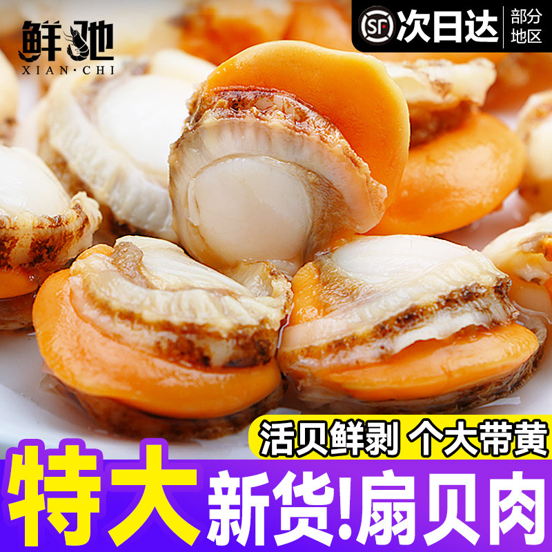 新鲜特大扇贝肉带黄海鲜批发顺丰图片