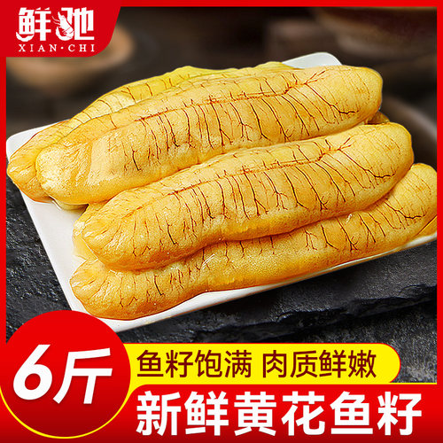 顺丰超大活鱼现取黄花鱼籽6斤装