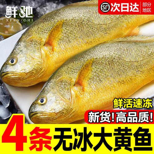 不打烊！顺丰黄花鱼数万人回购