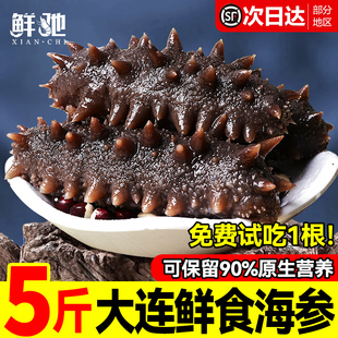 鲜食海参刺鲜活海渗即食辽宁大连瓦房店干货野生海生500g特价装袋