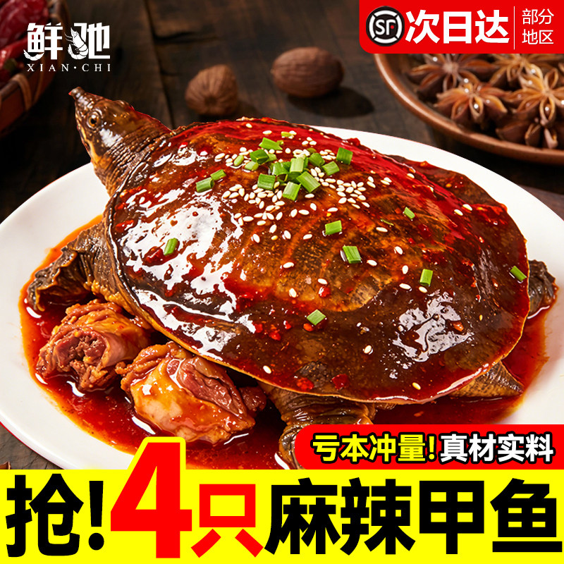麻辣甲鱼熟食加热开袋即食整只甲鱼团鱼裙边麻辣鲜活食用卤憋王八