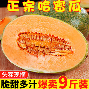 正宗哈密瓜脆甜9斤当季新鲜水果甜一整箱包邮现摘网纹瓜西州蜜