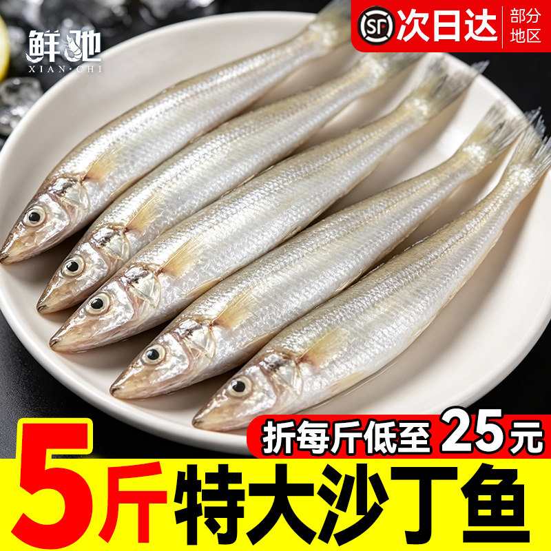 特价！5斤顺丰包邮新鲜大沙丁鱼图片