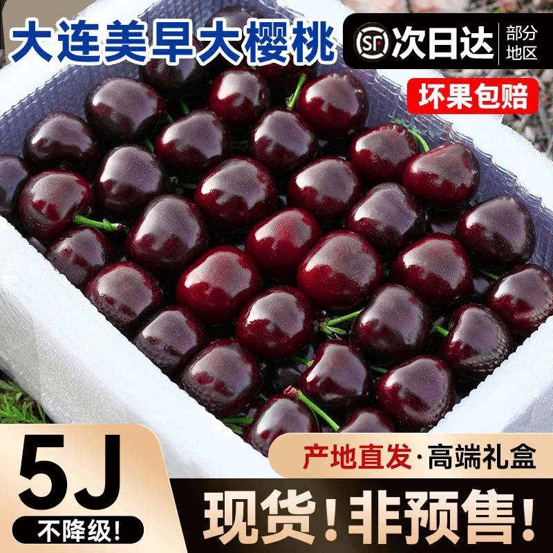 大连美早大樱桃新鲜水果包邮5斤礼盒当季整箱3j山孕妇东5j车厘子4